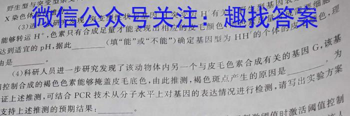 衡水金卷先享题2023-2024学年度高三一轮复习摸底测试卷摸底卷(福建专版)二数学