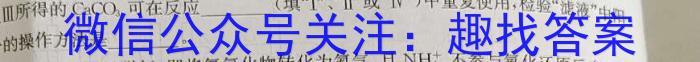 2024~2023学年(下)河南省高一6月“双新”大联考化学