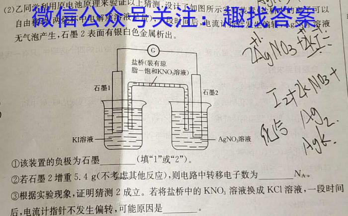 金科大联考2022~2023学年高三5月质量检测(新教材)化学