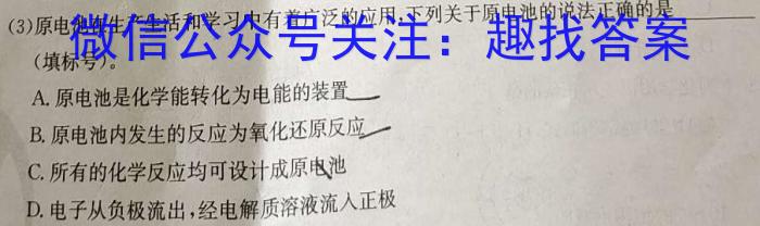 2023年陕西省初中学业水平考试全真预测试卷(C) A版化学