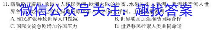 山西省2022~2023学年度八年级下学期阶段评估(二) 7L R-SHX历史