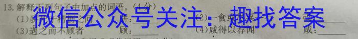 文博志鸿 2023年河南省普通高中招生考试试卷(夺冠一)语文