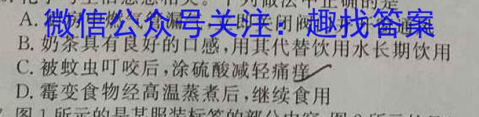 安徽省合肥市第八中学2023届高三最后一卷化学