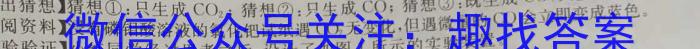 河北省2024~2023学年度七年级下学期期中综合评估 6L化学