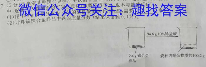 文博志鸿 2023年河南省普通高中招生考试模拟试卷(压轴二)化学