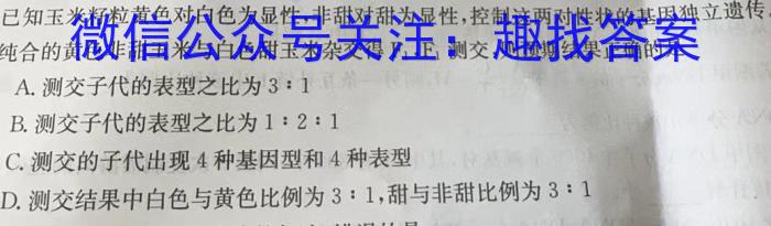 2025届江西省10月份高三联考数学