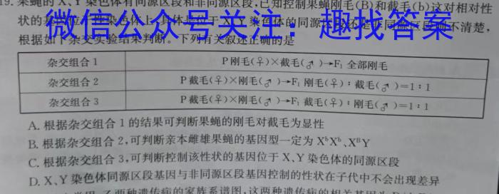 2024年湖南省初中学业水平考试模拟试卷(BEST联考三)数学