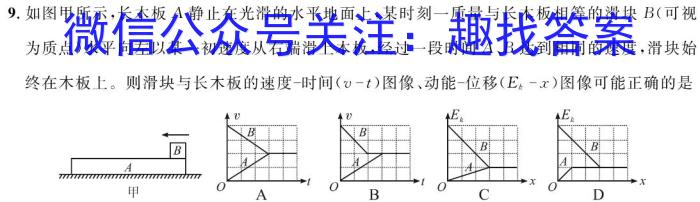 天一大联考 2022-2023学年(下)高二年级期末考试物理.