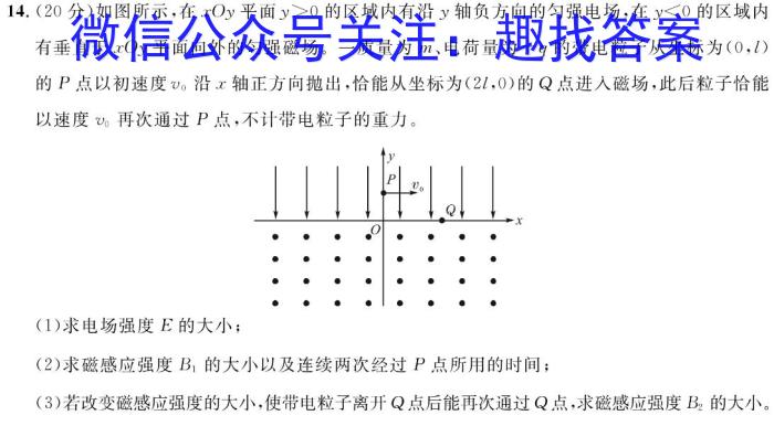 武汉市2023届高三五月模拟训练试题(2023.5.24)物理`