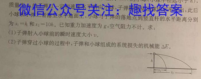 湖南省2023届高三一起考大联考(压轴卷)物理`