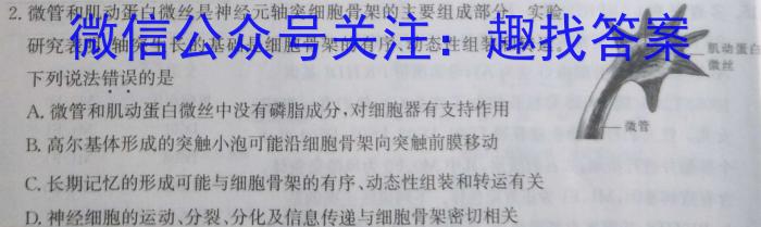 2024年河北省初中毕业生升学文化课考试（十）数学