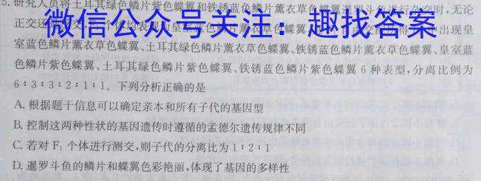 安徽省涡阳县2023-2024年度八年级第一学期义务教育教学质量检测数学