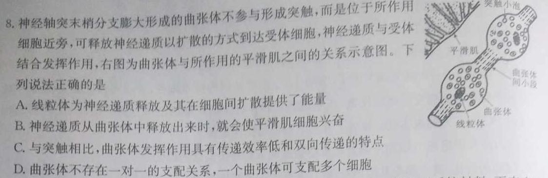 2023-2024学年福建省高三8月联考(FJ)数学考试