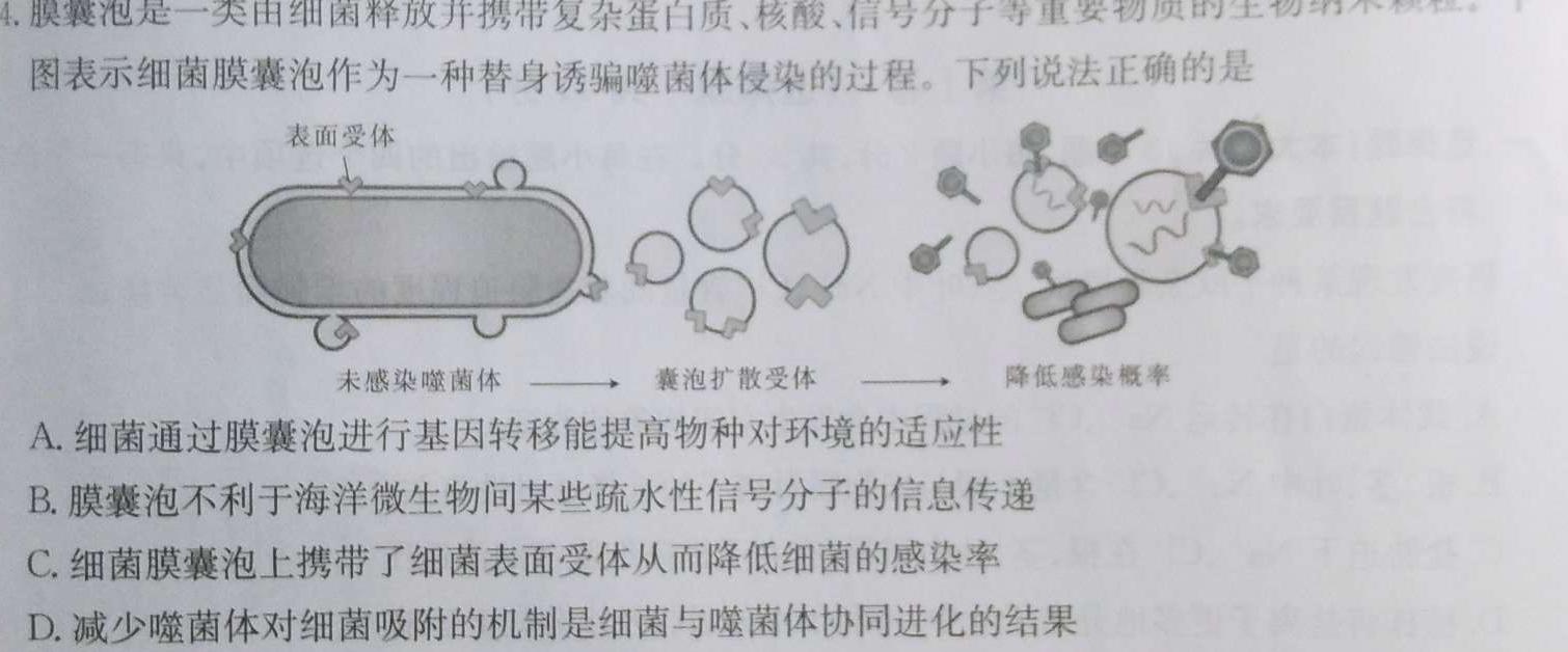 2023年四川省大数据精准教学联盟2020级高三第二次统一监测(2023.5)数学考试