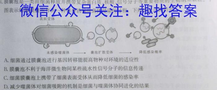 铜仁市2023-2024学年第一学期期末质量监测试卷（高二）数学