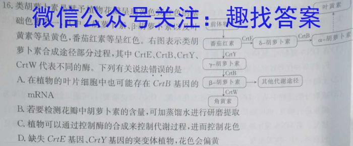 河南省焦作市普通高中2022-2023学年高一下学期期末考试数学