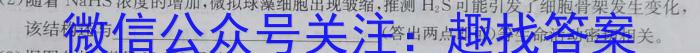 辽宁省名校联盟2024年高二9月份联合考试数学