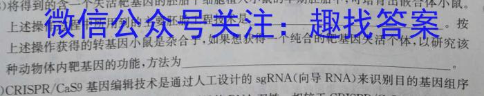 2024年普通高等学校招生全国统一考试 名校联盟·模拟信息卷(T8联盟)(一)数学