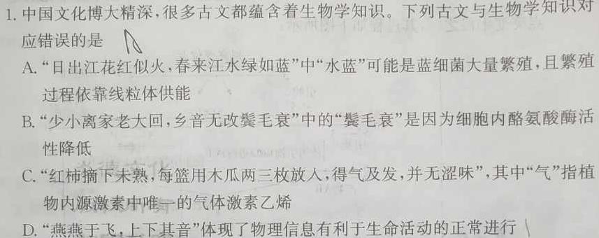 名师卷 2023届普通高等学校招生全国统一考试仿真模拟卷数学考试
