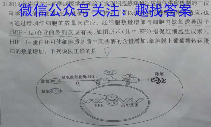 山西省2023-2024学年第二学期八年级文化测评（期末）数学