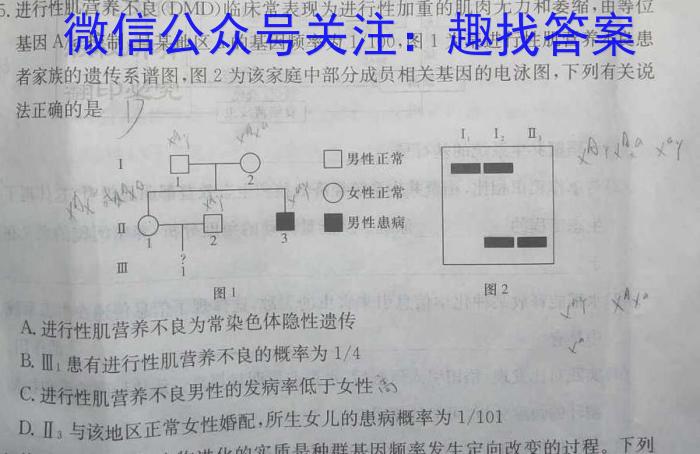 河南省2022~2023学年度七年级下学期阶段评估(二) 7L R-HEN文理 数学
