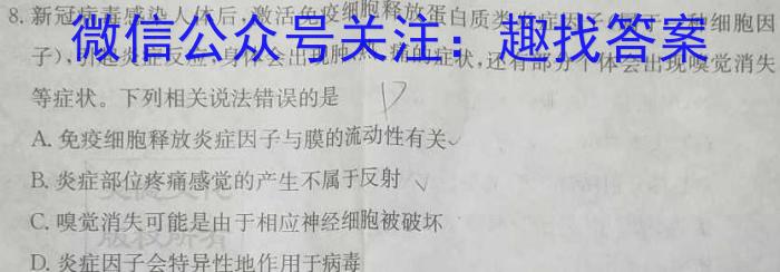 华大新高考联盟2024年高三名校高考预测卷数学