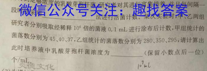 河南省开封市2023-2024学年高一第一学期期末调研数学