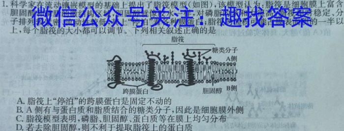 安徽省2024年下学期九年级3月考试数学