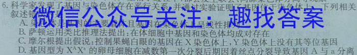 河南省安阳市滑县2024-2023学年高一下学期期末测评试卷数学