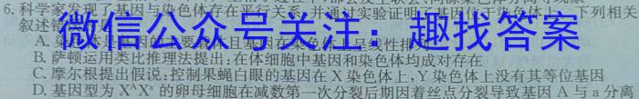 2023~2024学年安徽省县中联盟高三5月联考最后一卷(4419C)数学