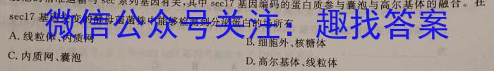 2024年普通高等学校招生全国统一考试·仿真模拟卷(六)6数学