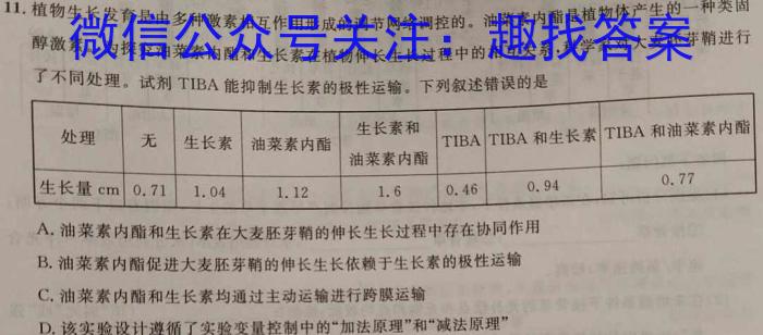 山西省2023-2024学年高三年级一轮复习终期考试数学