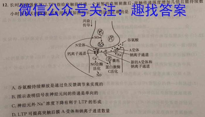 湖北省2022~2023学年度高二6月份联考(23-520B)数学