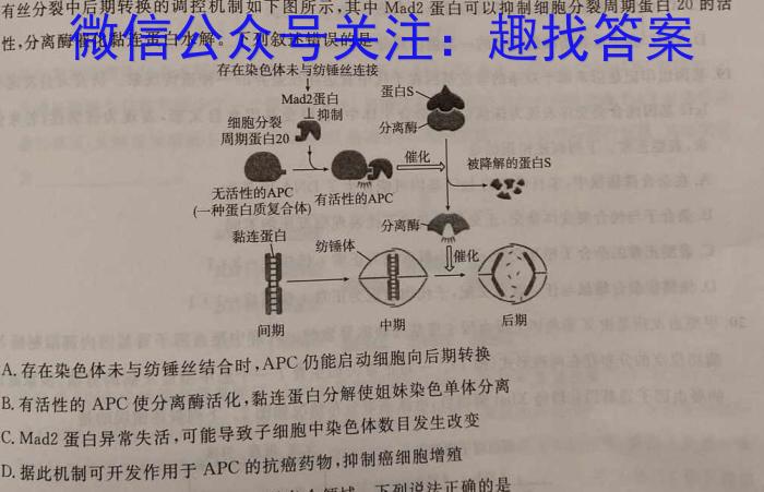 河南省名校联盟2024~2023学年高三下学期5月联考(2023.5)(3493C)数学