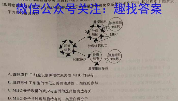 2024年陕西省初中学业水平考试(SX3)数学