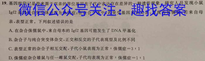  [华大新高考联盟]2024年高三名校高考预测卷（全国卷）数学