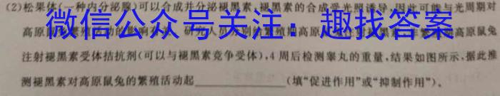 陕西省西安市某校2024年新初三收心考试数学