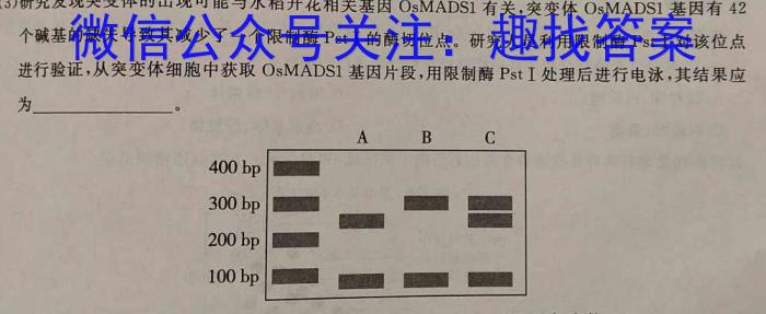 百校联盟 2024届高考模拟信息金卷(四)4数学