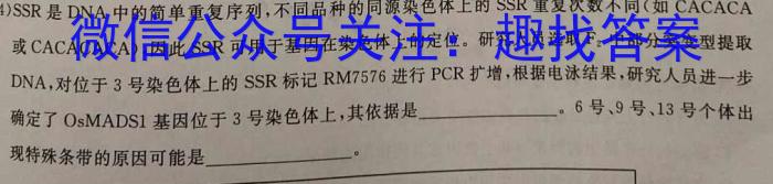 晋文源·山西省2024年中考考前适应性训练试题数学