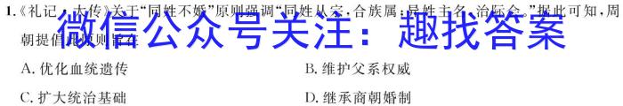 安徽省毫州市涡阳县2024-2023学年度八年级第二学期期末质量检测历史