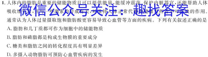 陕西省2024~2025学年度第一学期九年级第一阶段检测数学