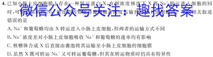 安徽省2023-2024学年度第一学期八年级期中综合性作业设计数学