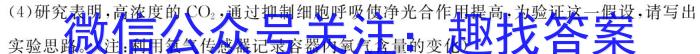 2024届金卷·新高考模拟信息卷·押题卷(一)1数学