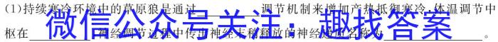 2024年河北省九年级基础摸底考试（四）数学