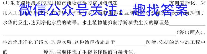 陕西省2023年九年级模拟检测卷B（正方形套菱形）文理 数学