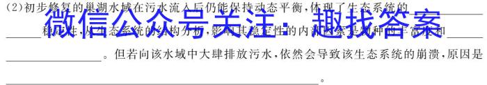 河南省许济洛平2023-2024学年高三3月联考数学