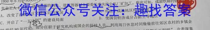 天一大联考·皖豫名校联盟2024-2023学年(下)高二年级阶段性测试(四)历史