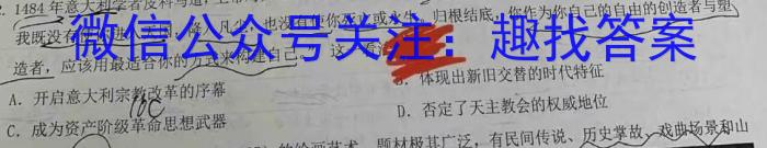 安徽省2023届九年级下学期教学评价三历史