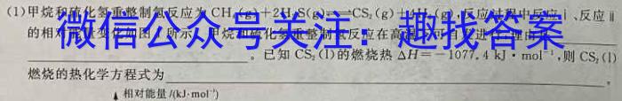 文博志鸿 2023年河南省普通高中招生考试模拟试卷(密卷二)化学