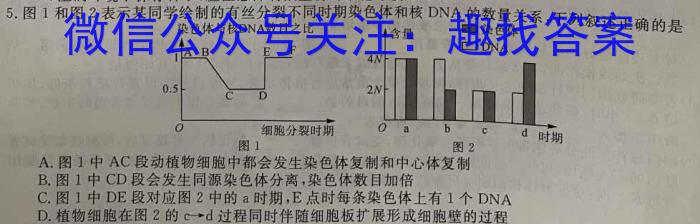 2024年宜荆荆随恩高二3月联考数学